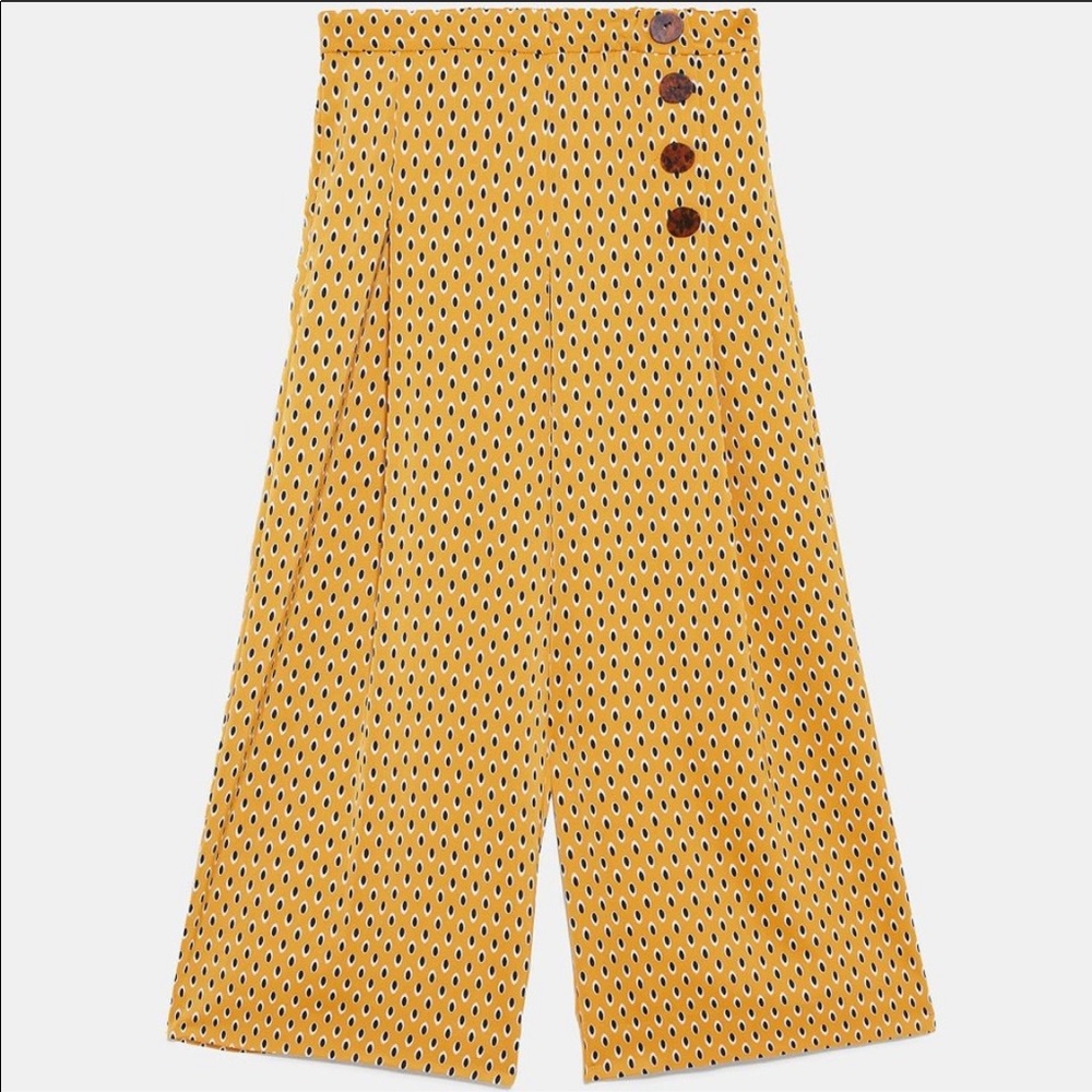 Zara pants